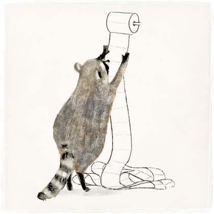 Picture of RASCALLY RACCOON IV