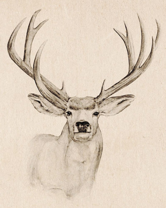 Picture of NATURAL BUCK I