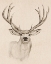 Picture of NATURAL BUCK I