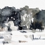 Picture of DECEMBER LANDSCAPE II