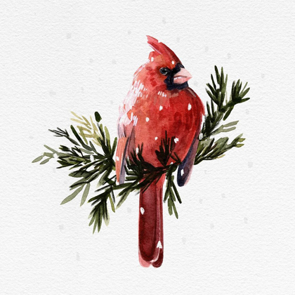 Picture of CARDINAL WITH SNOW I