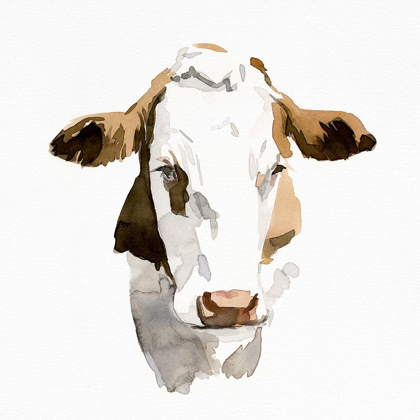 Picture of WATERCOLOR BOVINE I