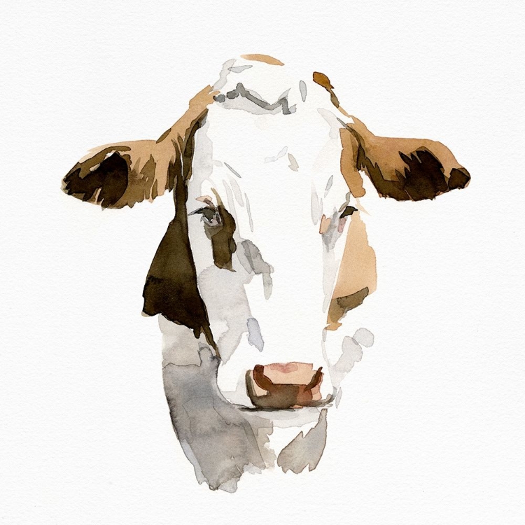 Picture of WATERCOLOR BOVINE I