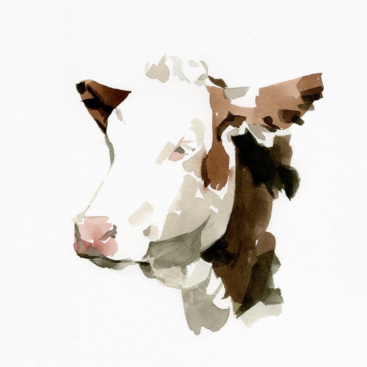 Picture of WATERCOLOR BOVINE II