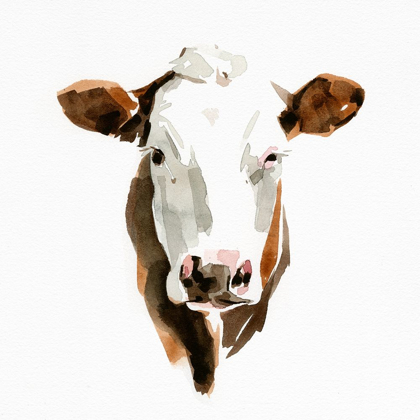 Picture of WATERCOLOR BOVINE III