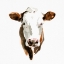 Picture of WATERCOLOR BOVINE III