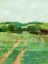 Picture of FARM ROAD II