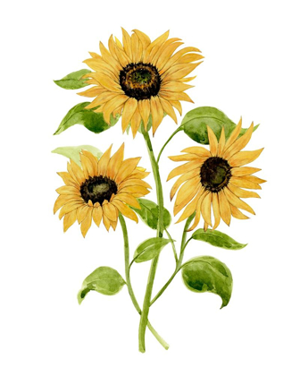 Picture of SUNFLOWER TRIO I