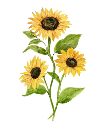 Picture of SUNFLOWER TRIO II