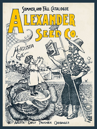 Picture of ANTIQUE SEED PACKETS IV
