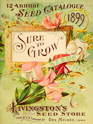 Picture of ANTIQUE SEED PACKETS VIII