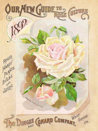 Picture of ANTIQUE SEED PACKETS IX
