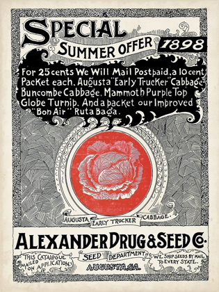 Picture of ANTIQUE SEED PACKETS XIII