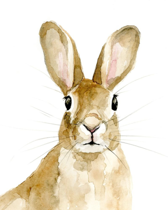 Picture of BUNN I