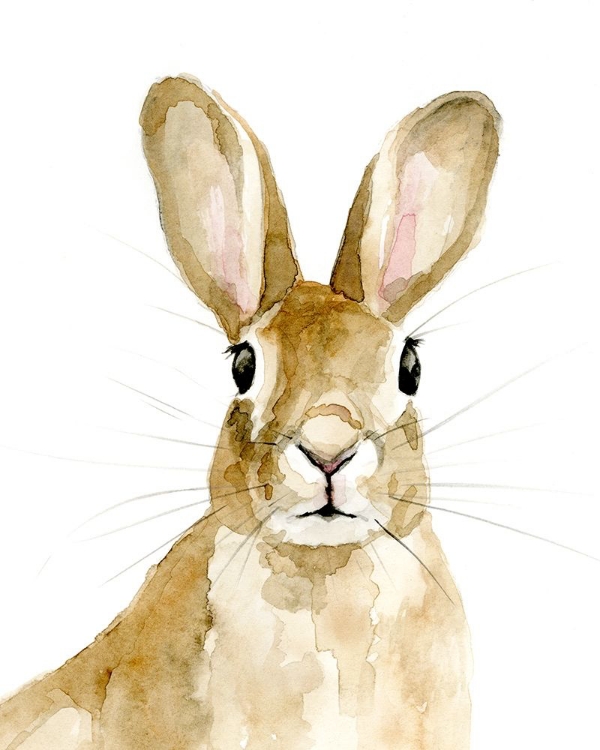 Picture of BUNN I