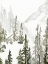 Picture of CONTINENTAL DIVIDE II