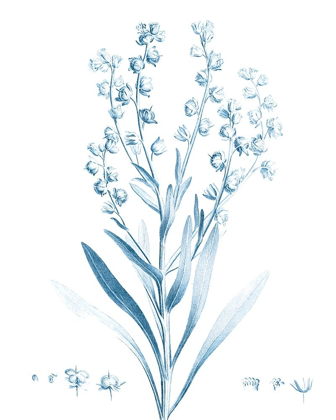 Picture of ANTIQUE BOTANICAL IN BLUE I