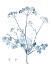 Picture of ANTIQUE BOTANICAL IN BLUE IV