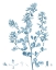 Picture of ANTIQUE BOTANICAL IN BLUE VIII