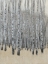 Picture of NEUTRAL ASPEN I