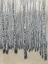 Picture of NEUTRAL ASPEN II
