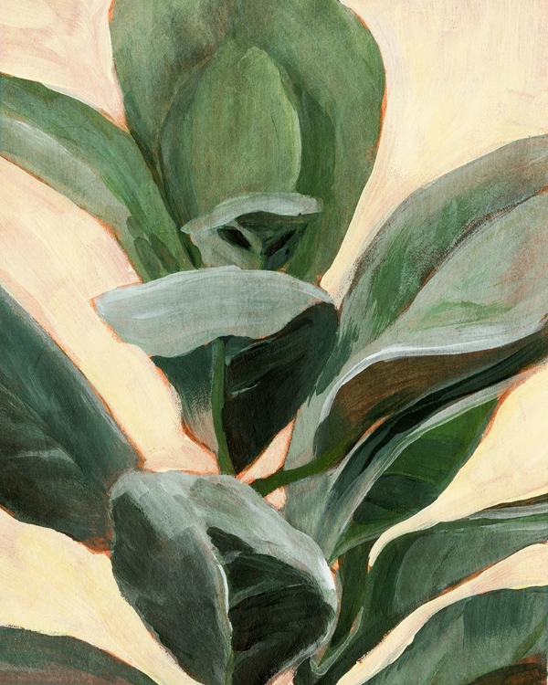 Picture of PLANT STUDY II