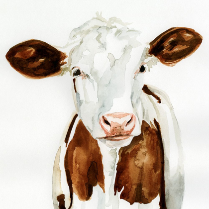 Picture of COW GAZE I