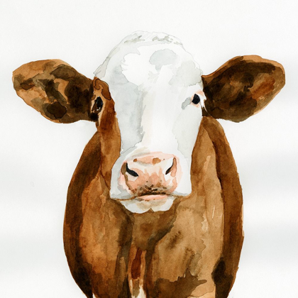 Picture of COW GAZE II