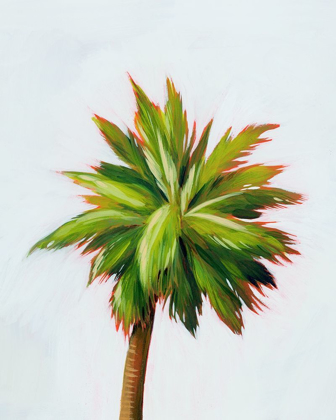 Picture of PALM GLOW II