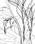 Picture of TROPICAL LINES IV