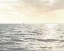 Picture of UNCHARTED I