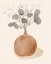 Picture of LA PLANTA I