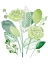 Picture of GREEN PORTRAIT I