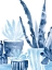 Picture of INDIGO SUCCULENT III