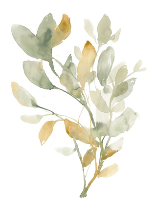 Picture of SAGE AND SIENNA LEAVES I