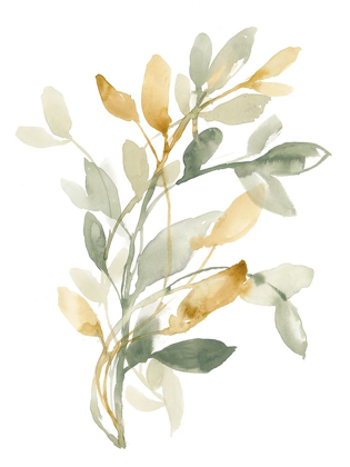 Picture of SAGE AND SIENNA LEAVES II