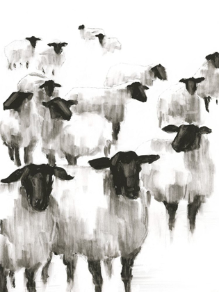Picture of COUNTING SHEEP II