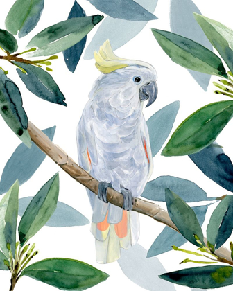 Picture of COCKATOO PERCH I