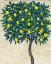 Picture of LEMON TREE COMPOSITION I