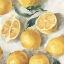 Picture of FRESH LEMONS II