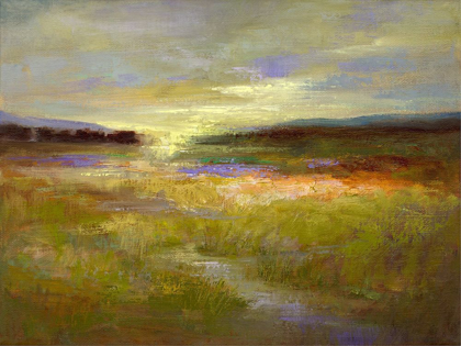 Picture of LIGHT ACROSS THE MEADOW II