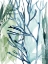 Picture of SEA LEAVES II