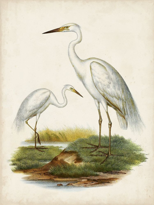 Picture of ANTIQUE WATERBIRDS V