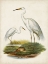 Picture of ANTIQUE WATERBIRDS V