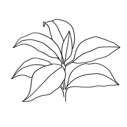 Picture of FOLIAGE CONTOUR III