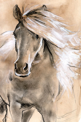Picture of SKETCHED HORSE I