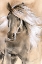 Picture of SKETCHED HORSE I