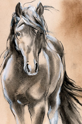 Picture of SKETCHED HORSE II