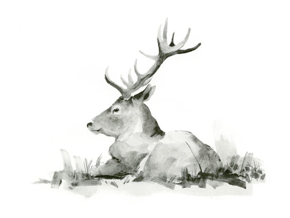 Picture of RECUMBENT STAG II