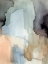 Picture of NECTAR IV